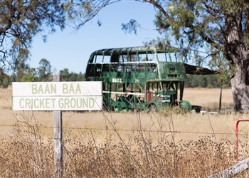 Baan Baa Cricket Club