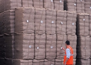 Cotton Bales