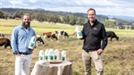 Tasmania's Ashgrove dairy unveils 'exciting' seaweed-fed climate-friendly milk