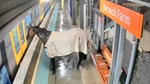 Racehorse hoofs it to train station to escape deluge