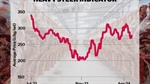 Drop in money for processing cattle hard to explain but likely now shifting