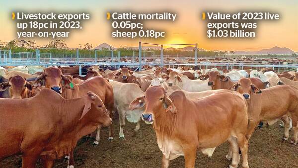 Live-ex lays out its stats: Volumes, value, voyage lengths and mortality rates