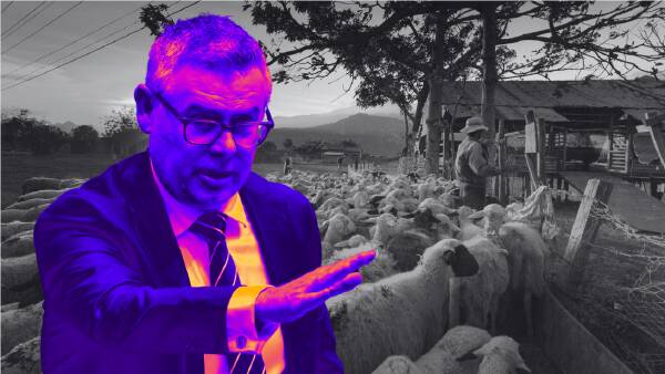 The Minister's Dairy: how the live sheep export shutdown unfolded