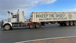 Inquiry into live sheep ban to deliver report within a fortnight