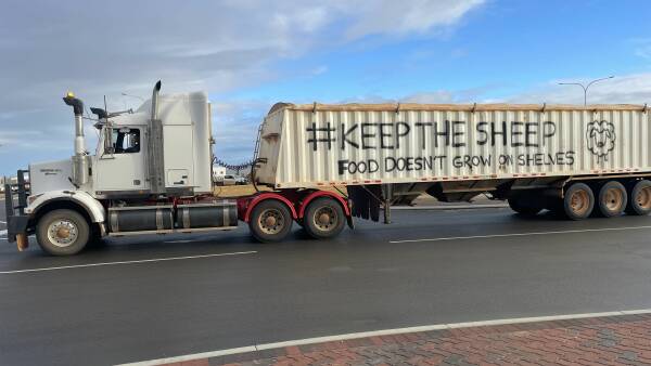 Inquiry into live sheep ban to deliver report within a fortnight