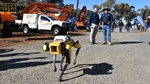 How a $150,000 dog is improving safety