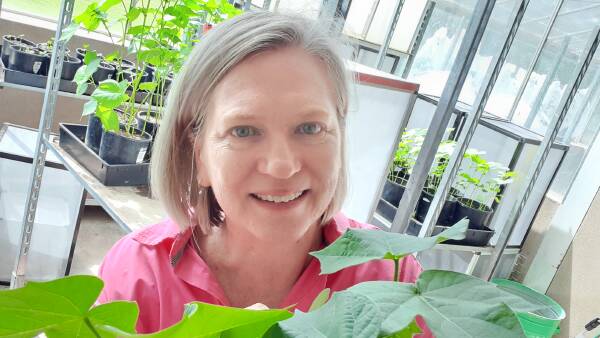 Cotton researcher finalists announced