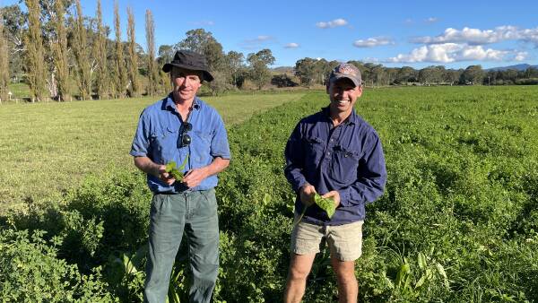 People, planet and profitability focus brings success for NSW dairy