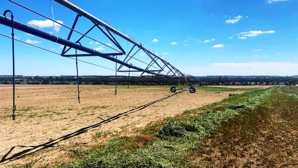 Lucerne farm sale asks buyers to do their sums on the hay's value