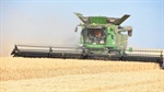 Wheat dragged down by overall market softness