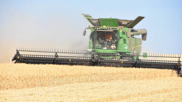 Wheat dragged down by overall market softness