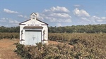 Grains industry news in brief