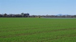 Quality farming and irrigation property sold under the hammer