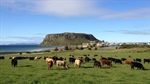 The simple formula the king of branded Australian beef, Cape Grim, was built on