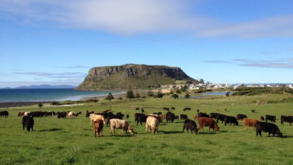 The simple formula the king of branded Australian beef, Cape Grim, was built on