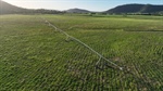 Negotiations continuing on grazing, irrigation, lifestyle property