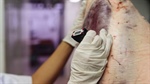 How freezing is cold enough: Beef temperatures in the spotlight
