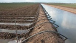 Agribusiness buzz in brief