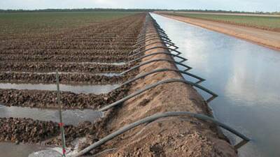 Agribusiness buzz in brief