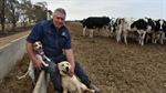 Victorian dairy industry at risk under Basin Plan buybacks says the UDV