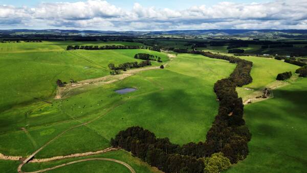 Family puts quality Colac farm up for sale after more than 100 years