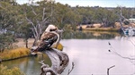 Real estate agent also enjoys the bird's eye view of the river