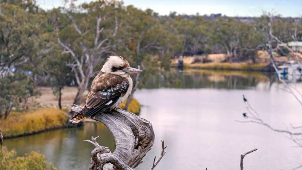 Real estate agent also enjoys the bird's eye view of the river
