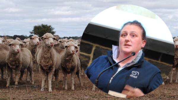 AWI sets sights on 2028 roll out of wool bio-harvesting technology for growers