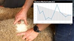 An ordinary year for wool as industry awaits recovery
