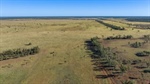 Major 150,000 acre Hollymount, Mt Driven aggregation for sale | Video