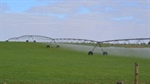 Web-based tool helps farmers make better irrigation investment choices