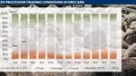 Sheep processing: cautious optimism as sector shows early signs of recovery