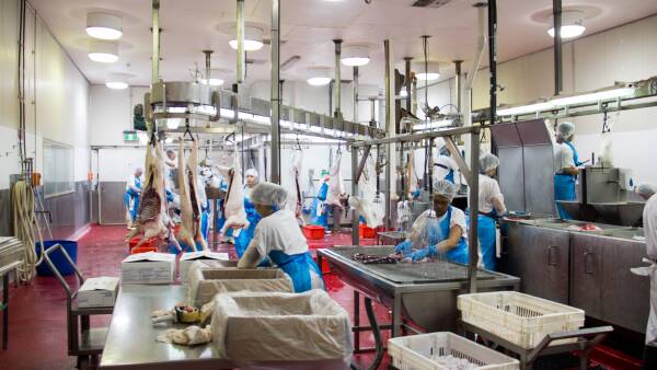 Supply chain stutters as floods bring flow-on effects to livestock sector