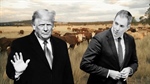 Trump's tariffs to most heavily impact agriculture: Treasury analysis
