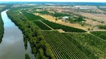 Citrus and table grape portfolio with counter-seasonal production system