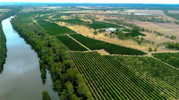 Citrus and table grape portfolio with counter-seasonal production system