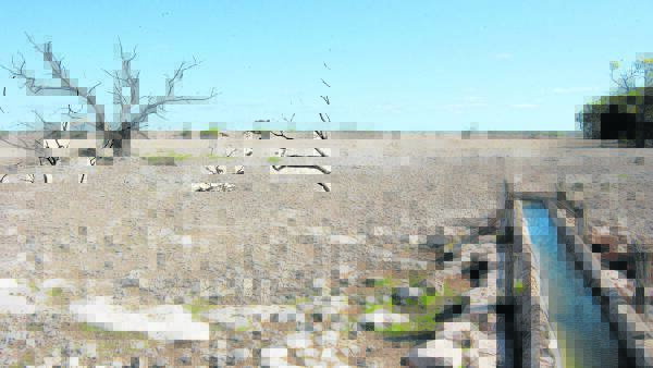 Applications open for PIRSA's $20,000 drought infrastructure grants