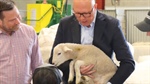 Coalition promise to show regional Australia the money for show upgrades