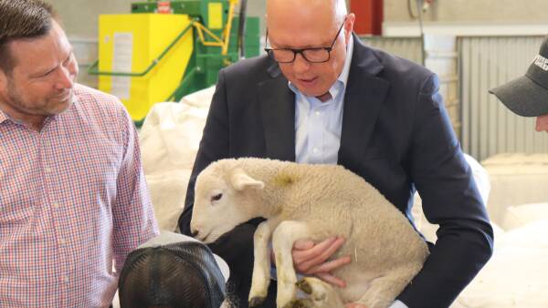 Coalition promise to show regional Australia the money for show upgrades