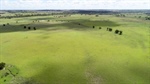 Well-developed cattle country with abundence of grass in a prime location