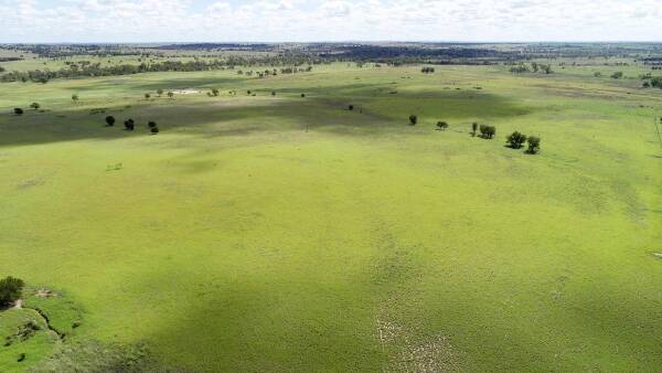 Well-developed cattle country with abundence of grass in a prime location