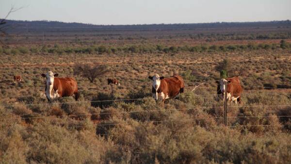 Western division grazing property with very productive flood-out country