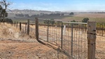Mid North farm land makes $720k at auction | Four EP farms also sold