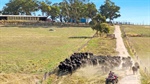 Premier Kyneton grazing property hits the sales market after 120 years
