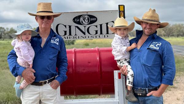Pye family increases polled Wagyu stake with Gateway Tropical investment