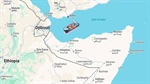 Video footage circulates of live sheep ship incident off Yemeni coast