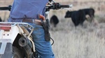 Need a firearm? Pass a physical and mental health screen, says WA govt