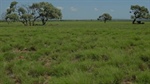 Offers of more than $9.5m sought on 1100 head breeder property Barragunda