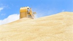 GrainCorp profit up 16pc despite dry southern harvest, tight global markets