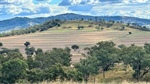 Dryland cropping, cattle country in handy position to a major regional city